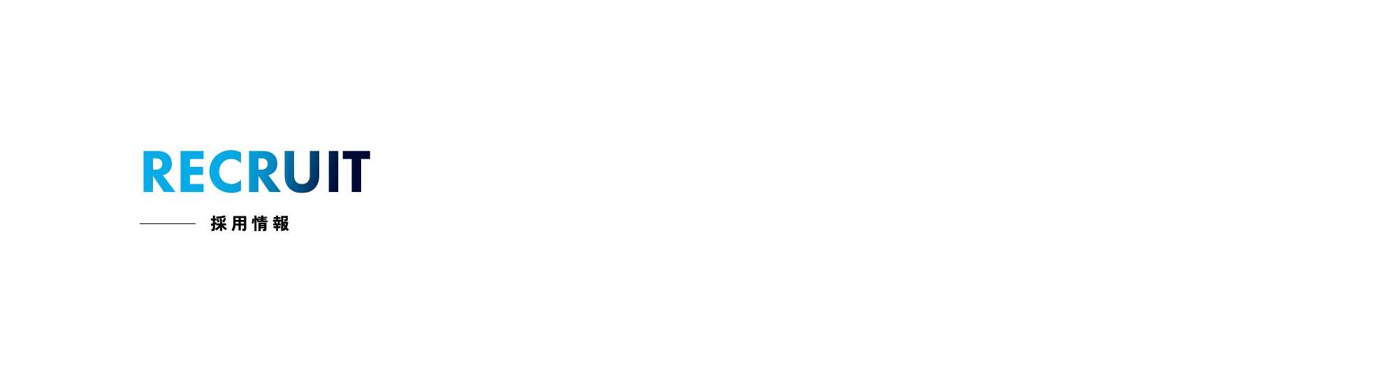採用情報